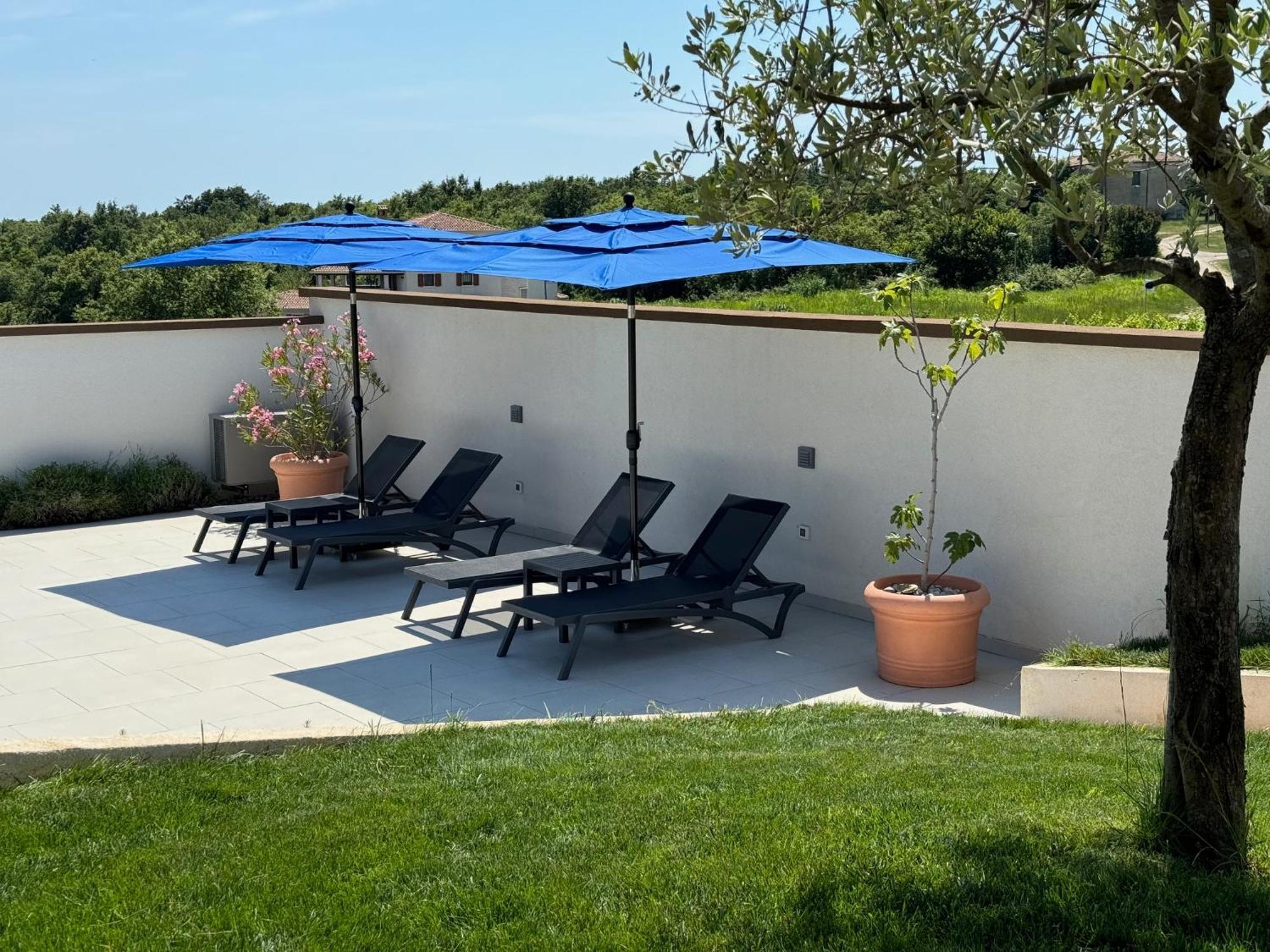 Villa Victoria Istra - Heated Pool Nova Vas  Kültér fotó